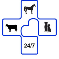 Koe, paard, hond en kat 24/7