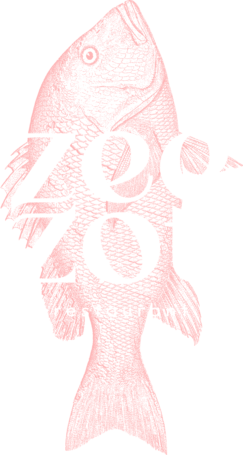 Zeezot restaurant